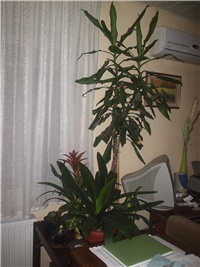 182f3d06-Picture 012.jpg